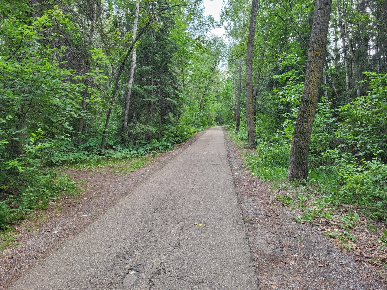 20230707_164104.jpg