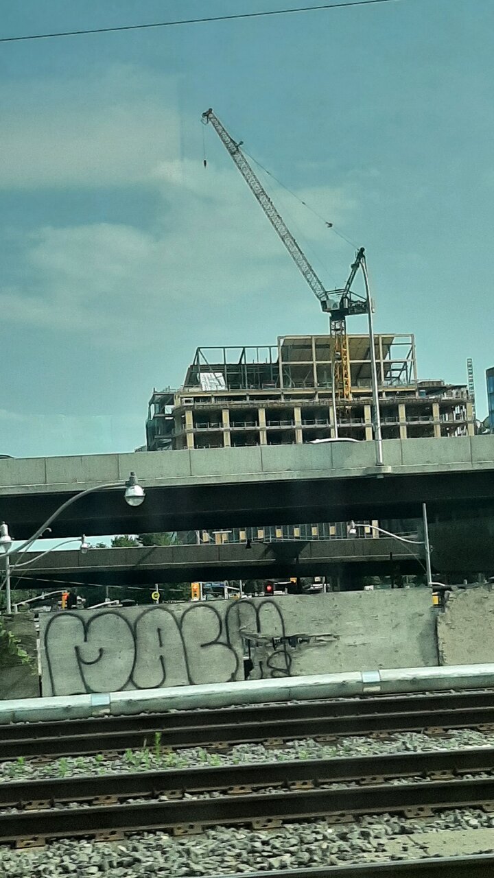 20230714_165024.jpg