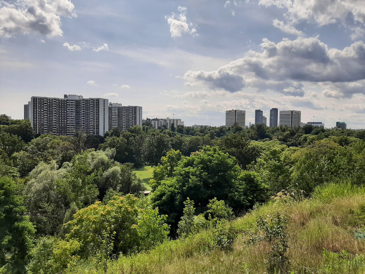20230801_151535.jpg