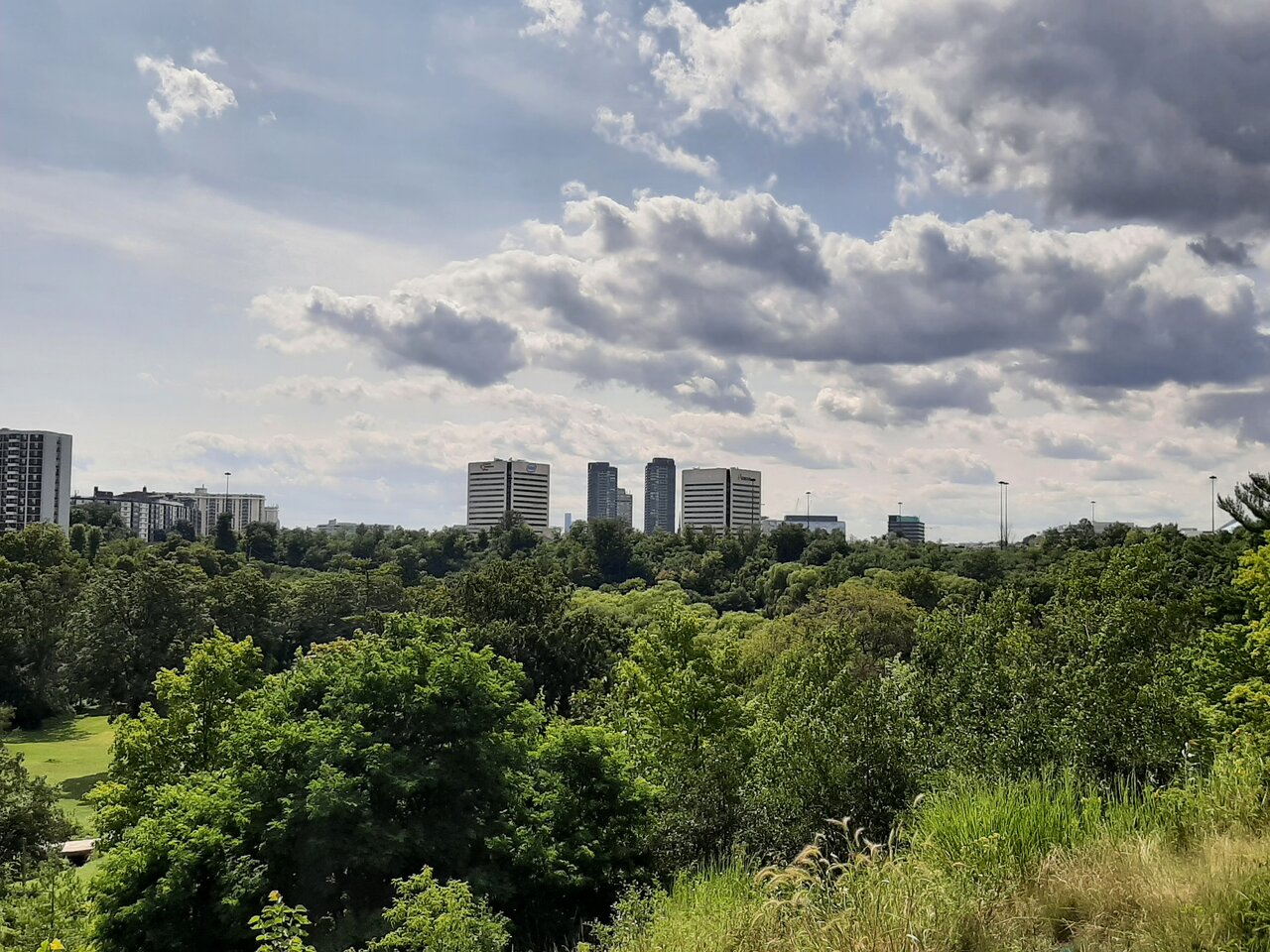 20230801_151612.jpg