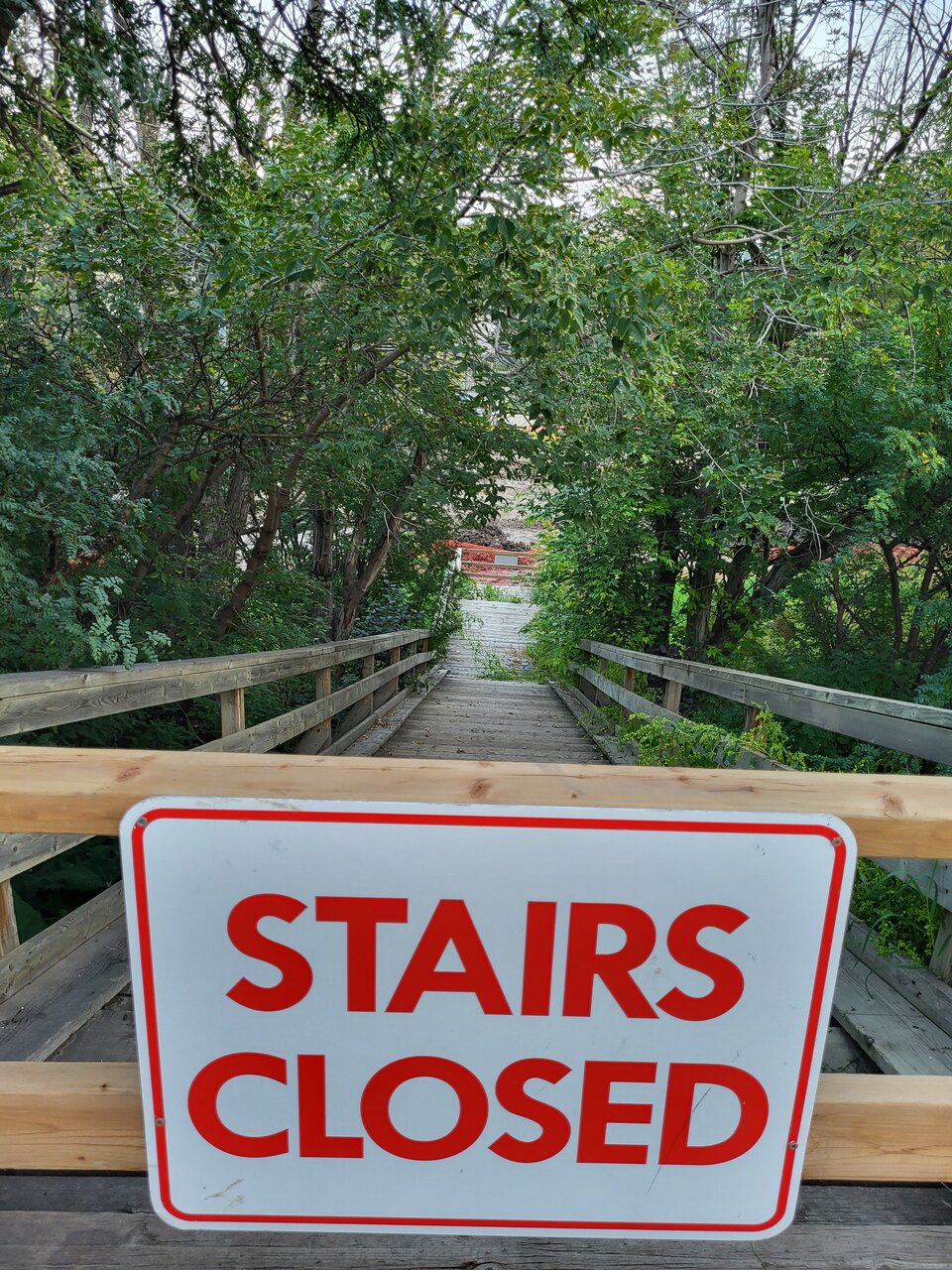20230827_201404.jpg