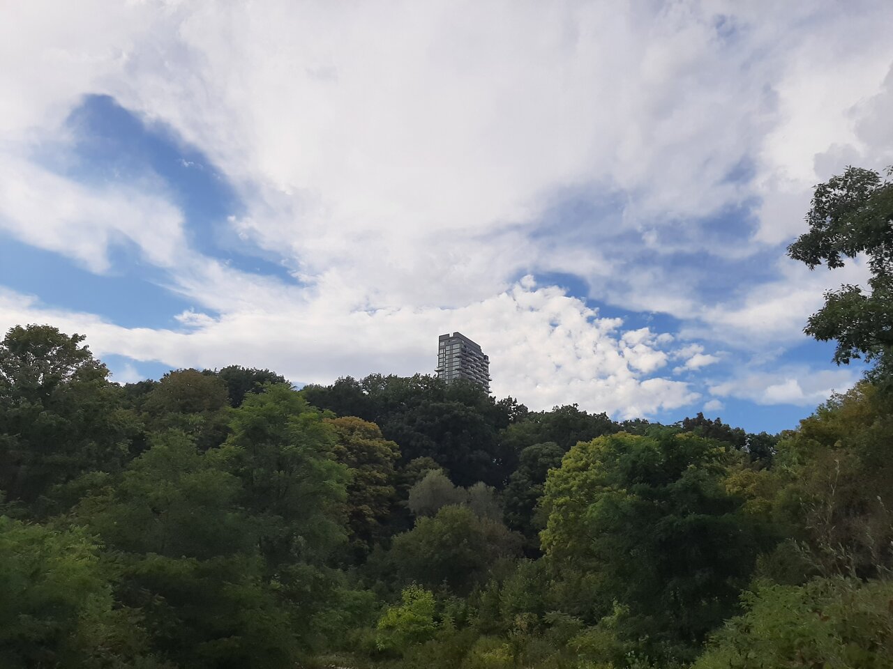 20230902_172922.jpg