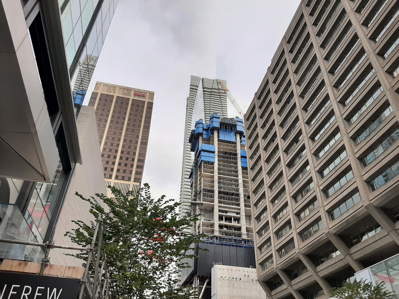 20230909_144601.jpg