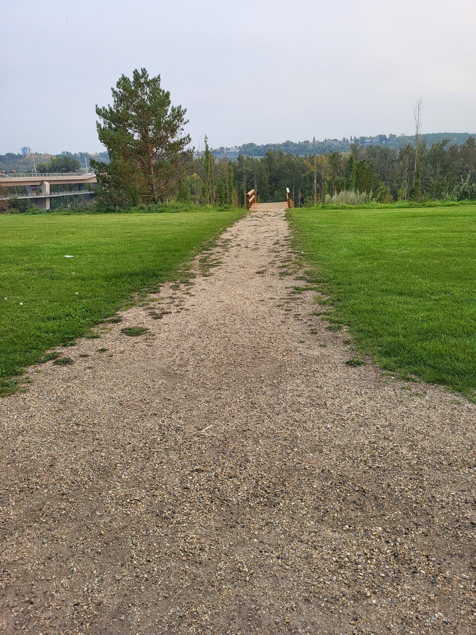 20230912_184729.jpg