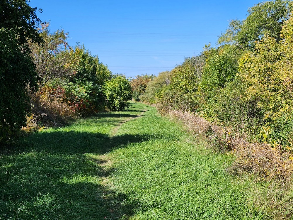 20230927_141539.jpg