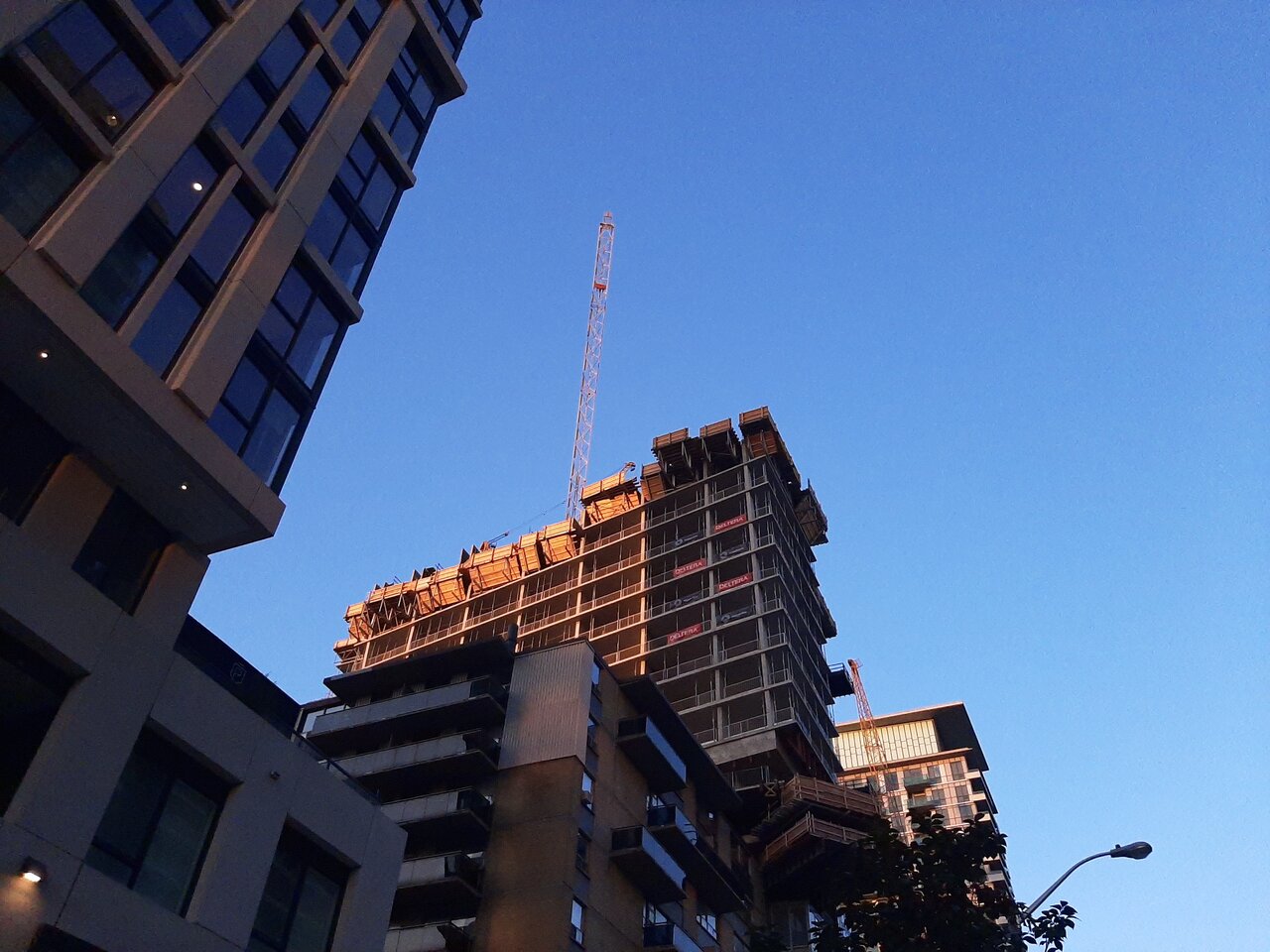 20231001_073615.jpg