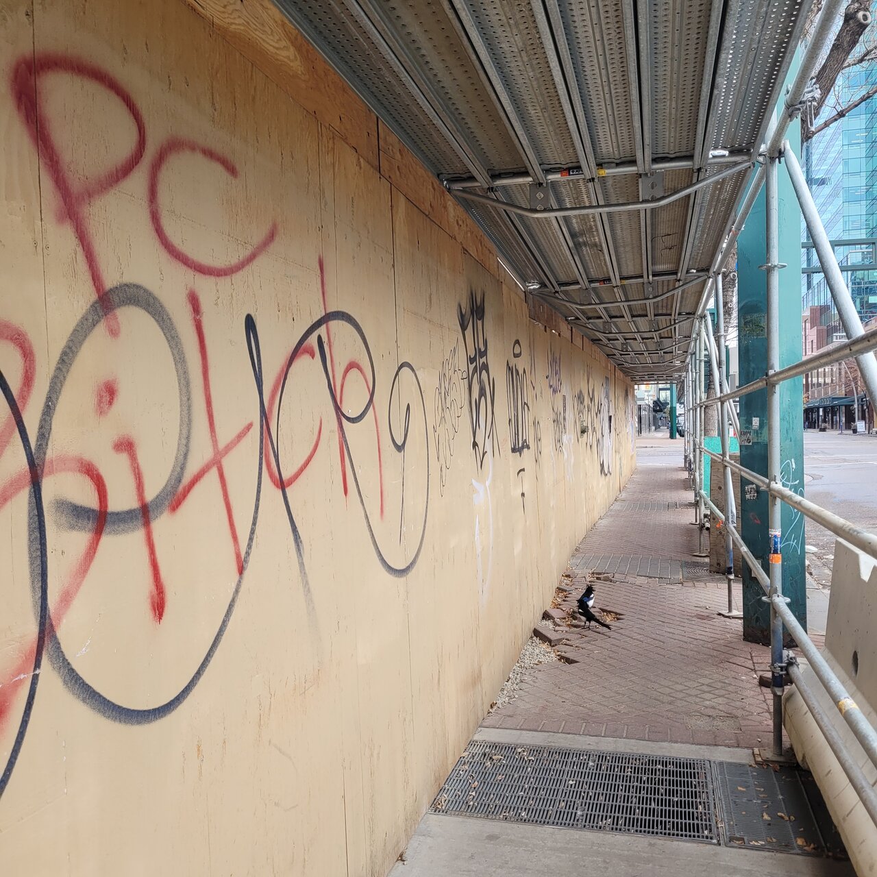 20231002_111113-jpg.510581