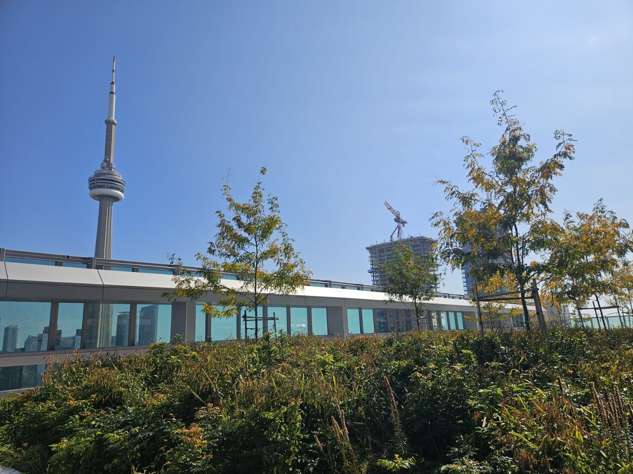 20231004_123257.jpg