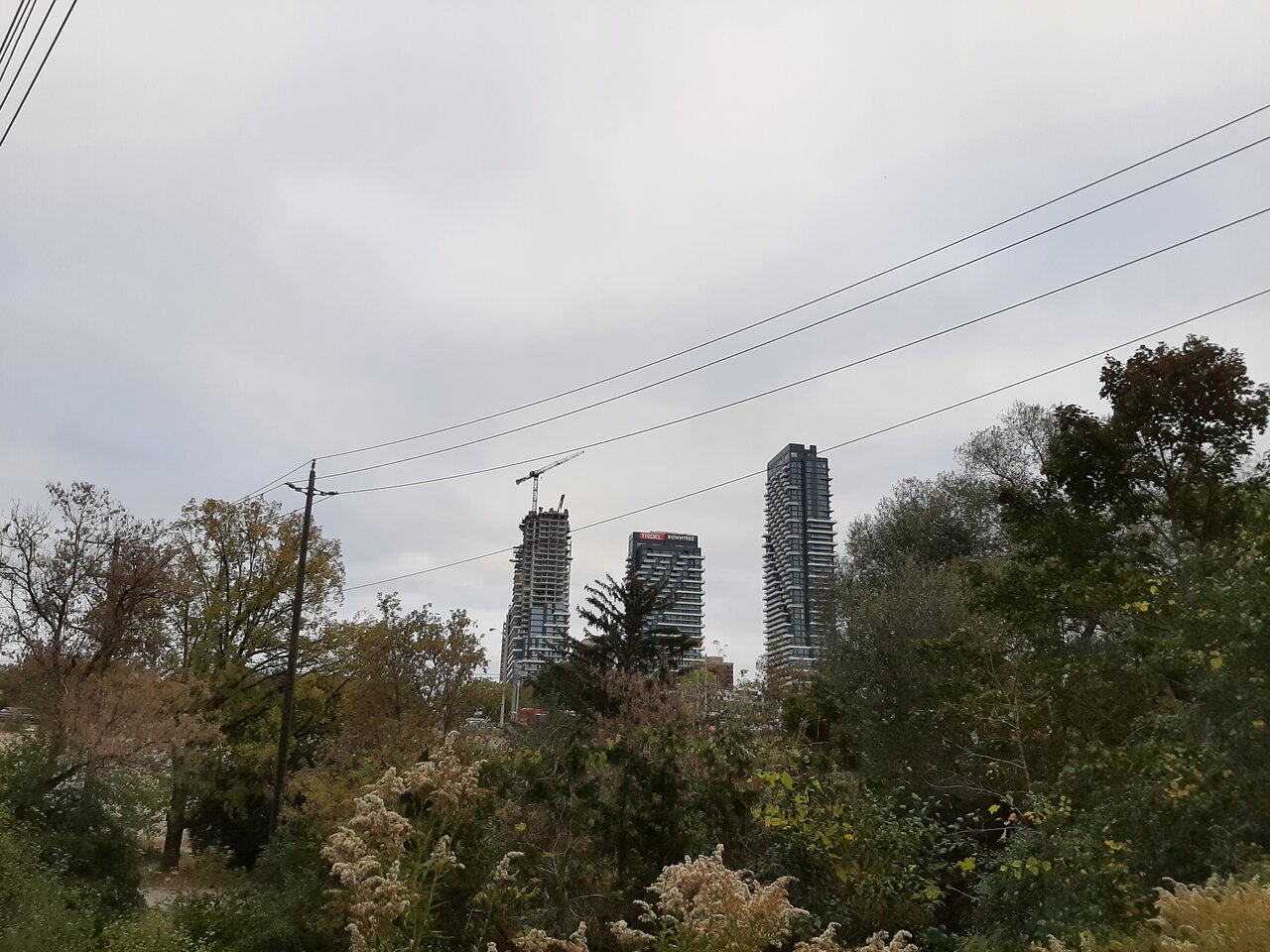 20231016_172720.jpg