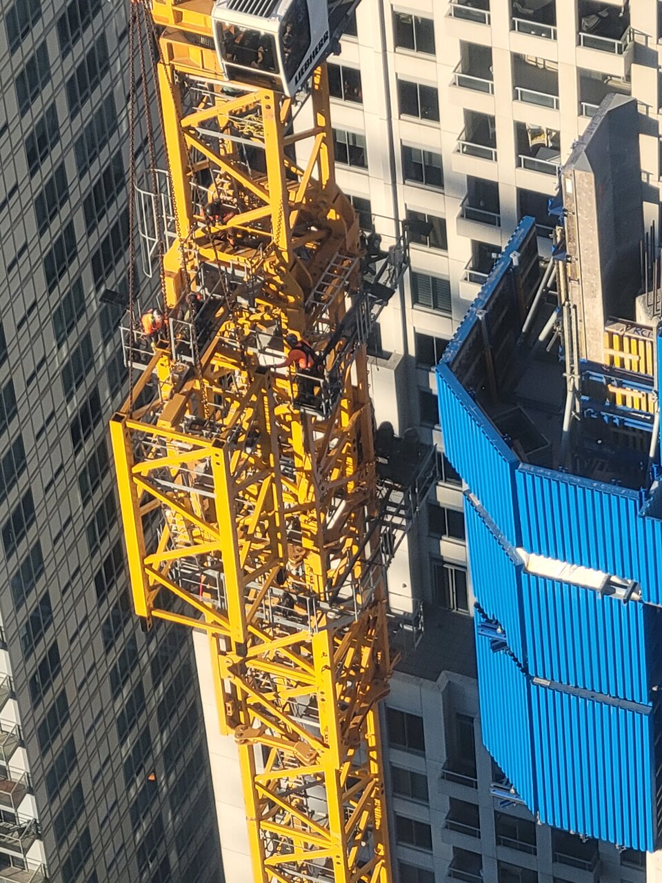 20231023_084449.jpg