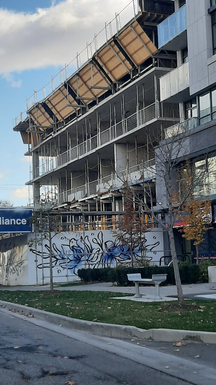 20231110_114507.jpg