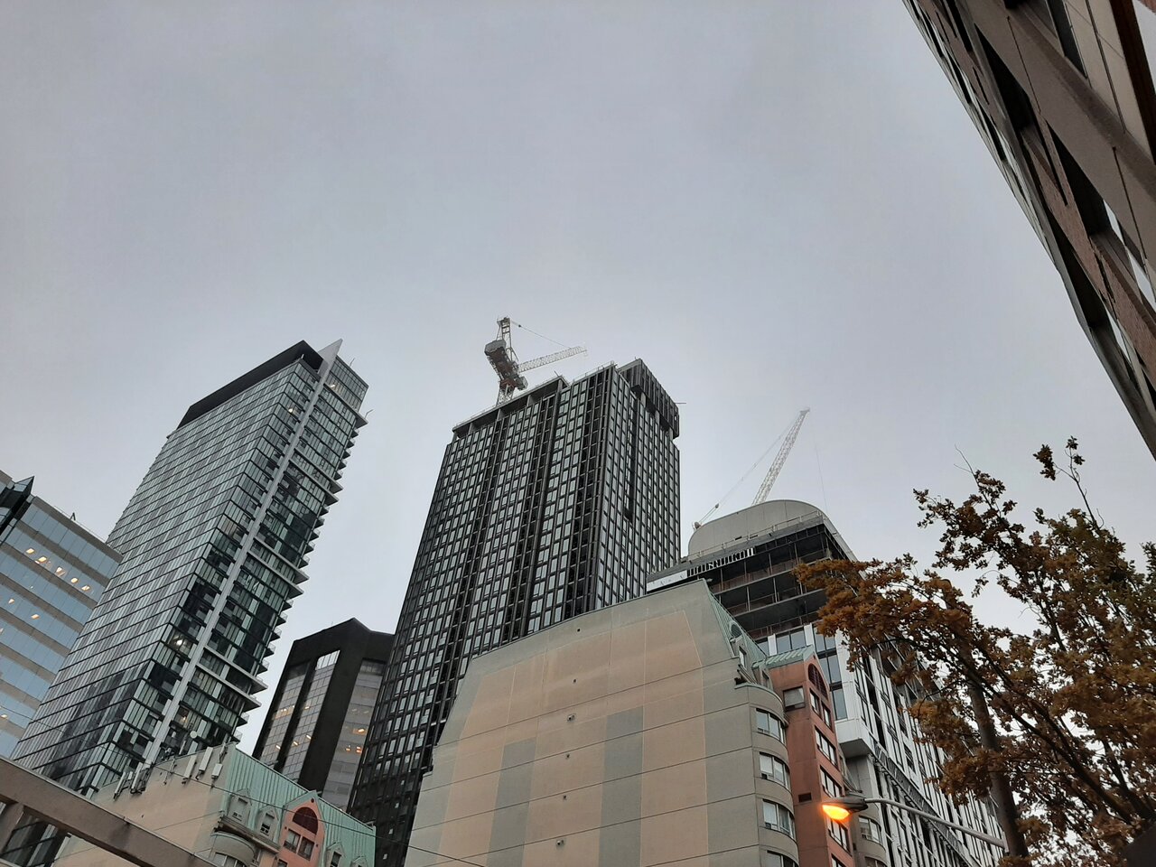 20231122_075351.jpg
