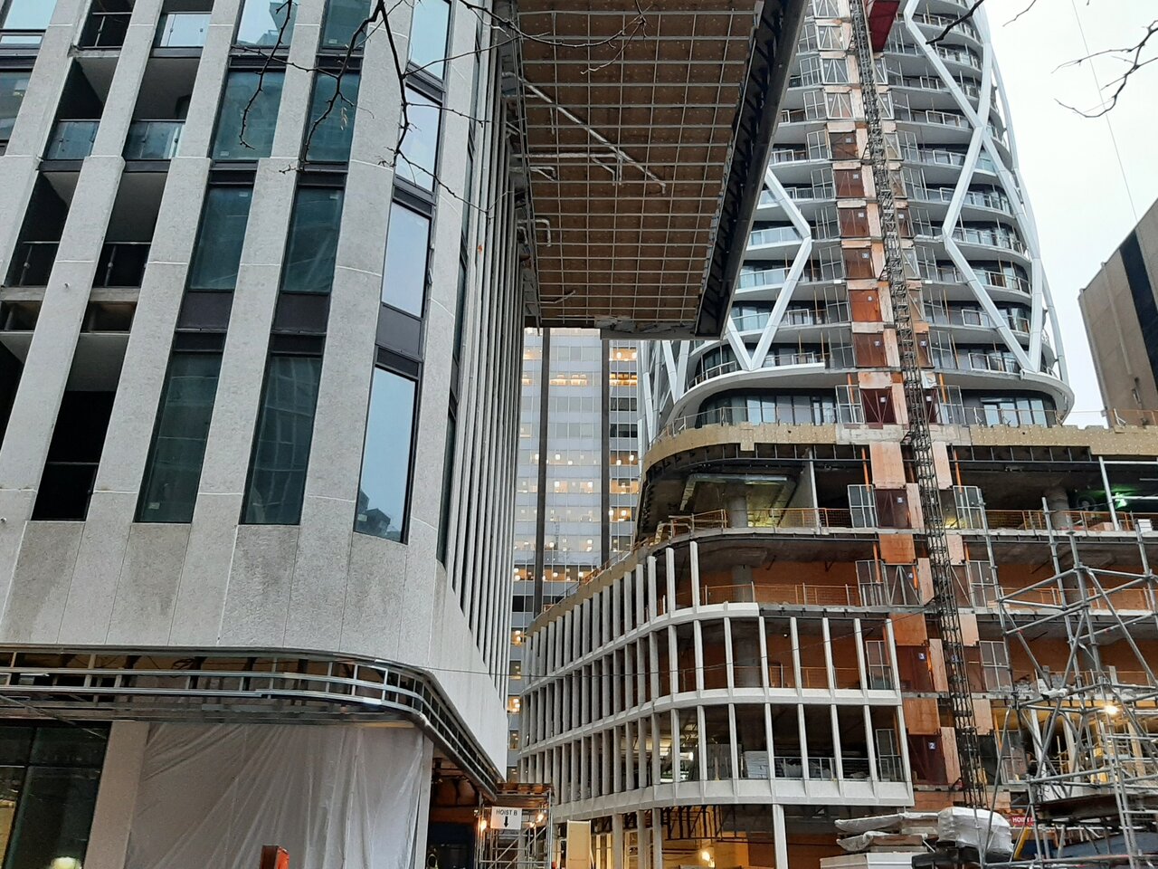 20231122_075552.jpg