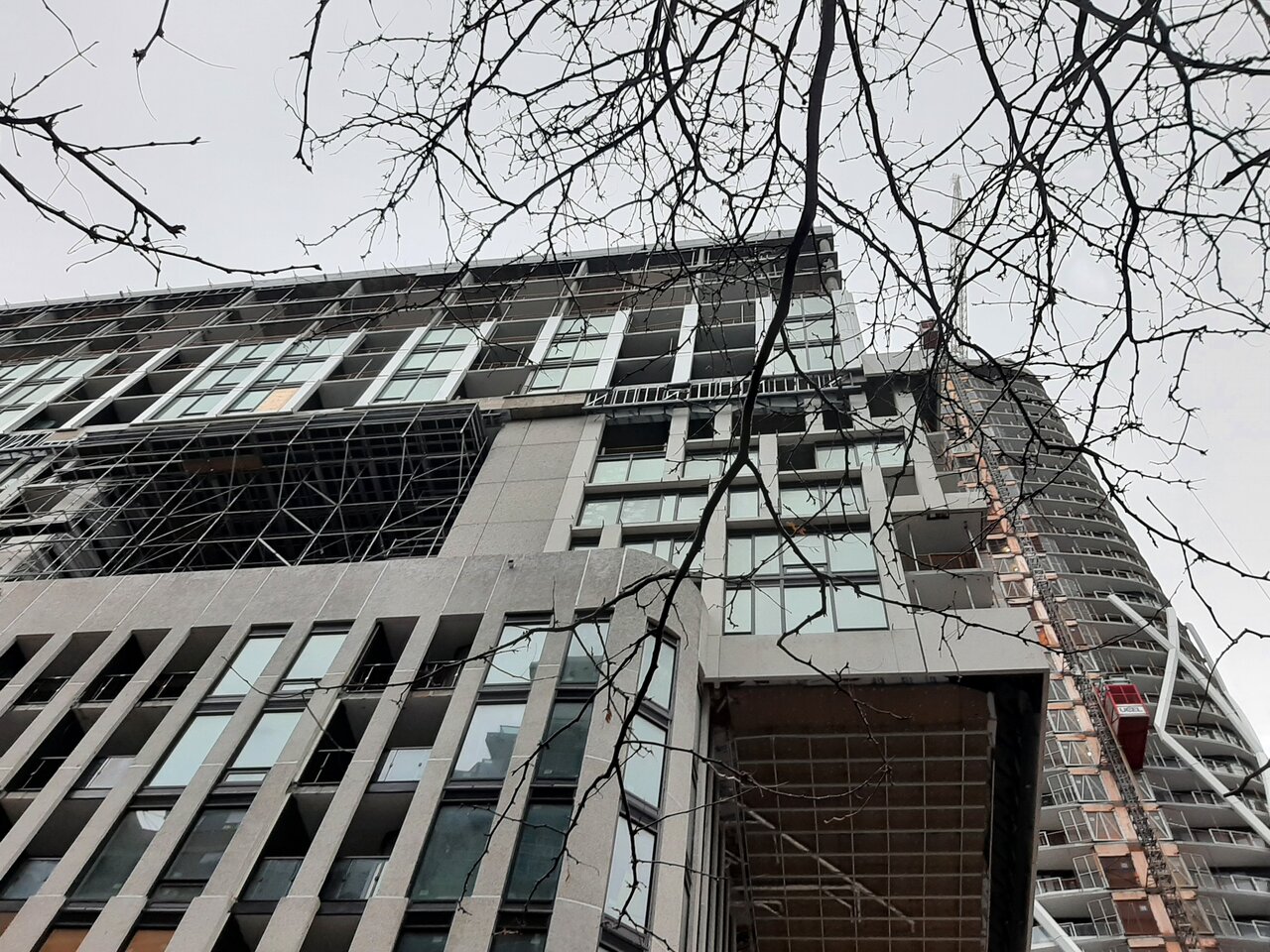 20231122_075555.jpg