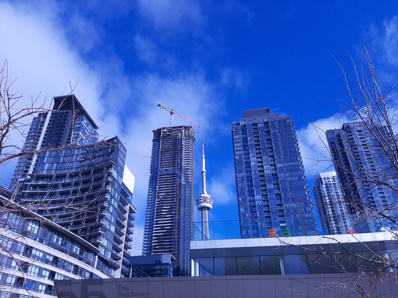 20240129_125418.jpg