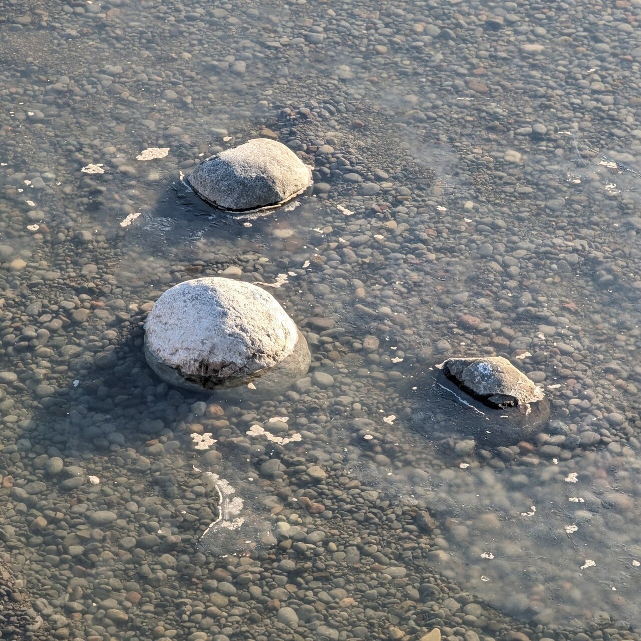 20240204-183347.jpg