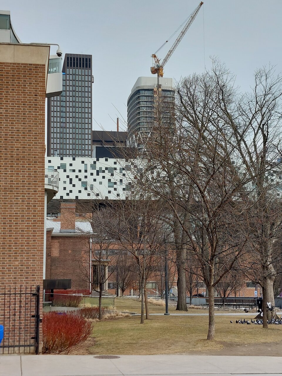 20240222_132411.jpg