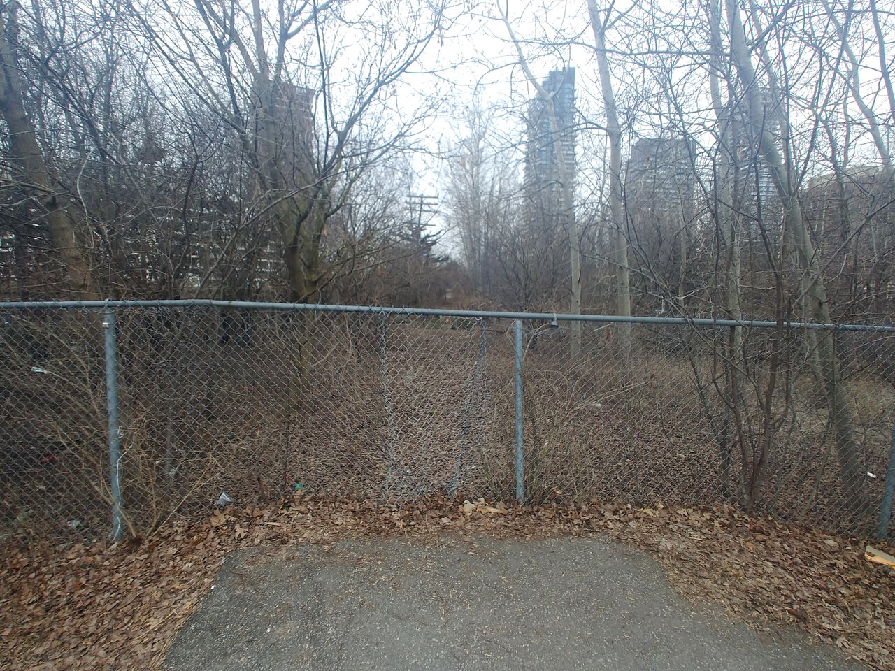 20240225_161039.jpg