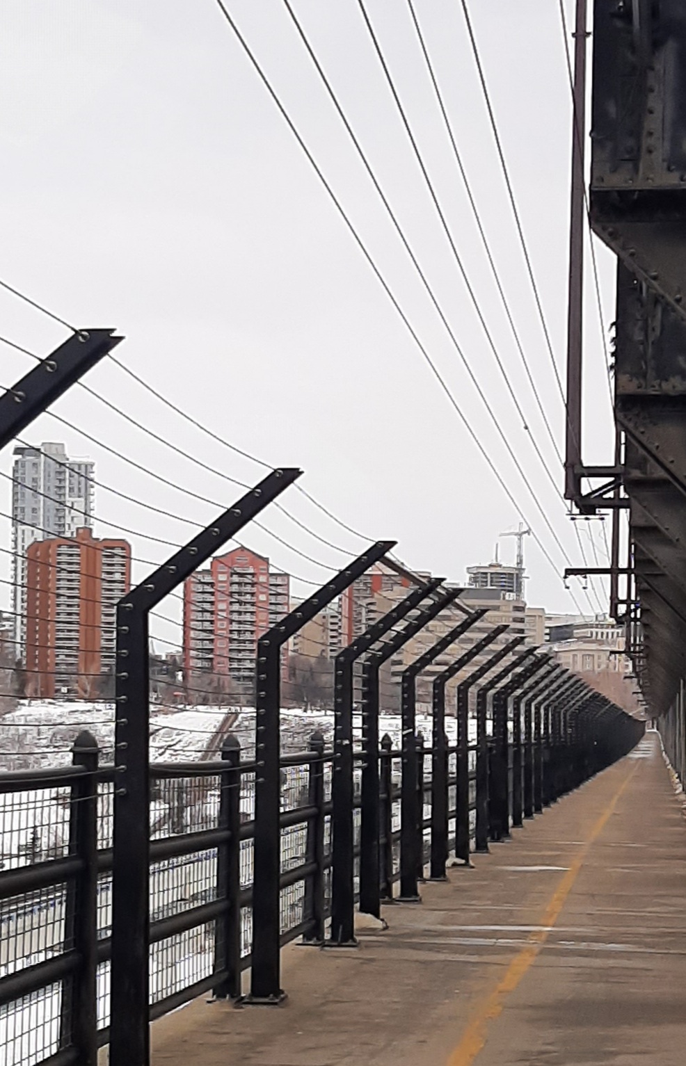 20240309_114610.jpg