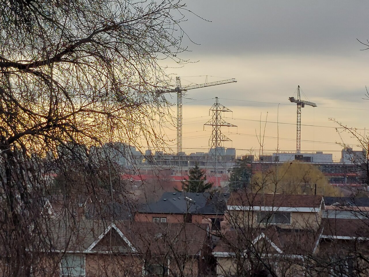 20240314_094558.jpg