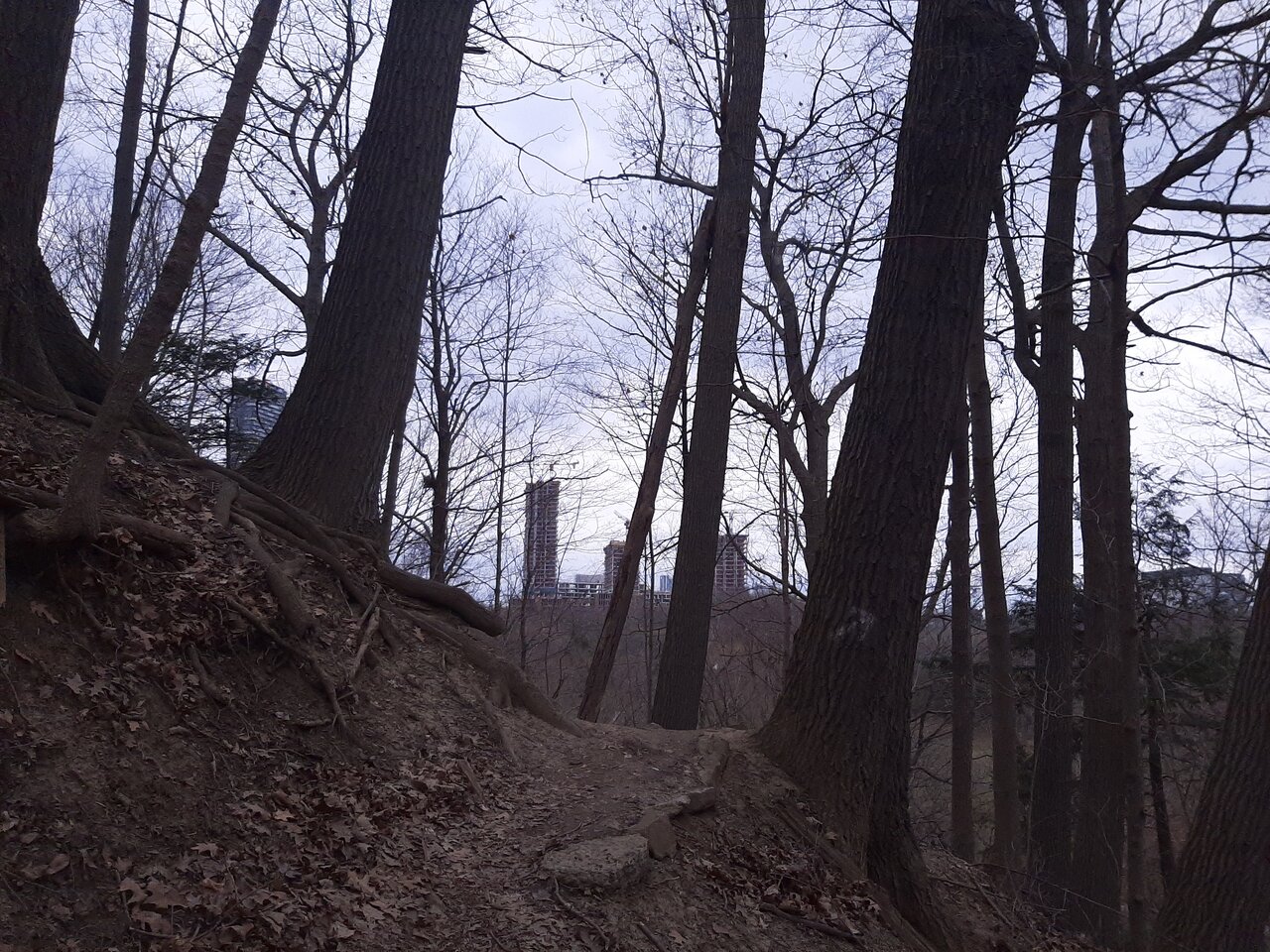 20240314_130956.jpg