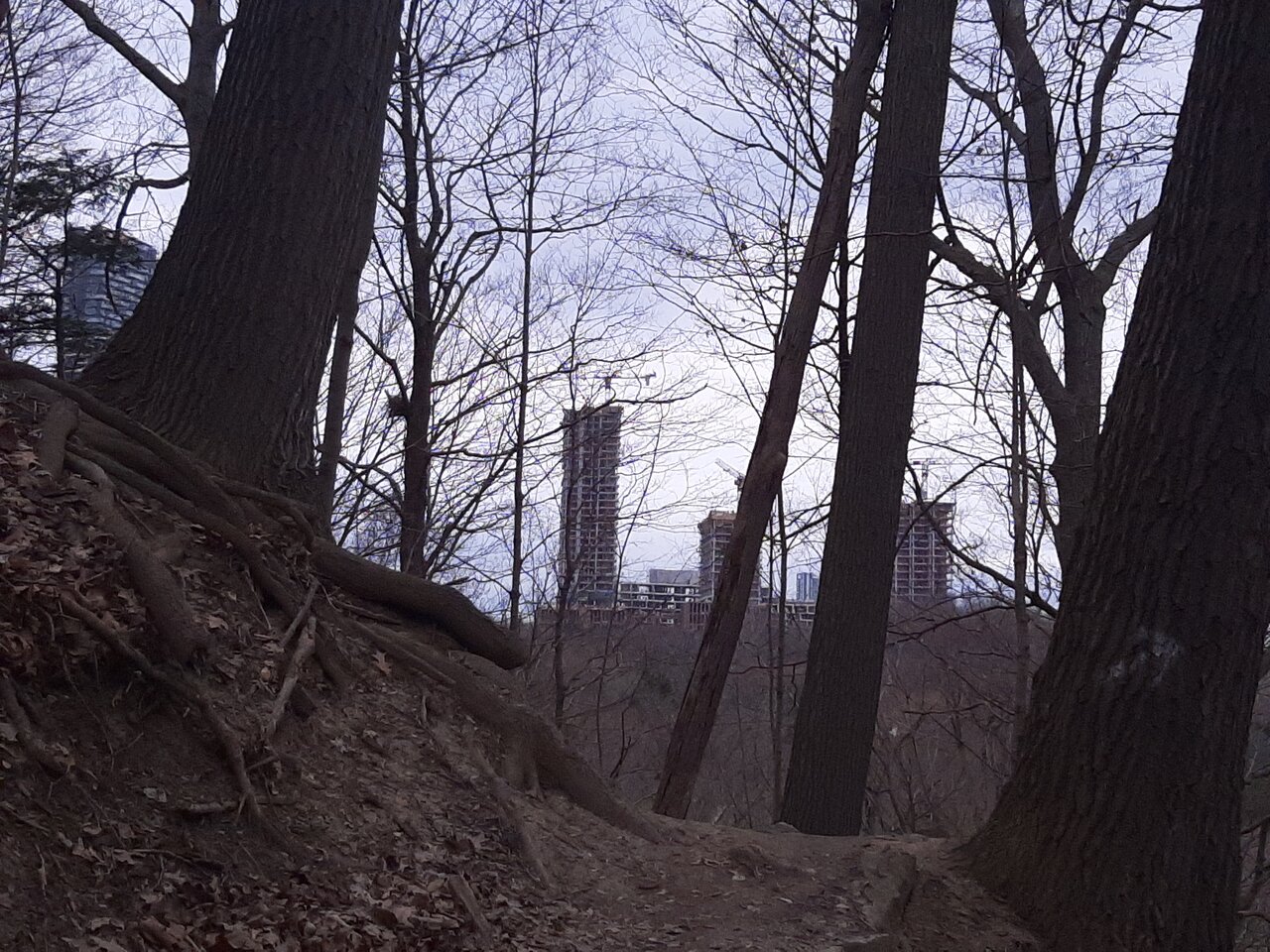 20240314_131007.jpg