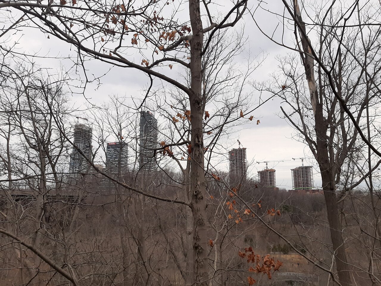 20240314_131518.jpg