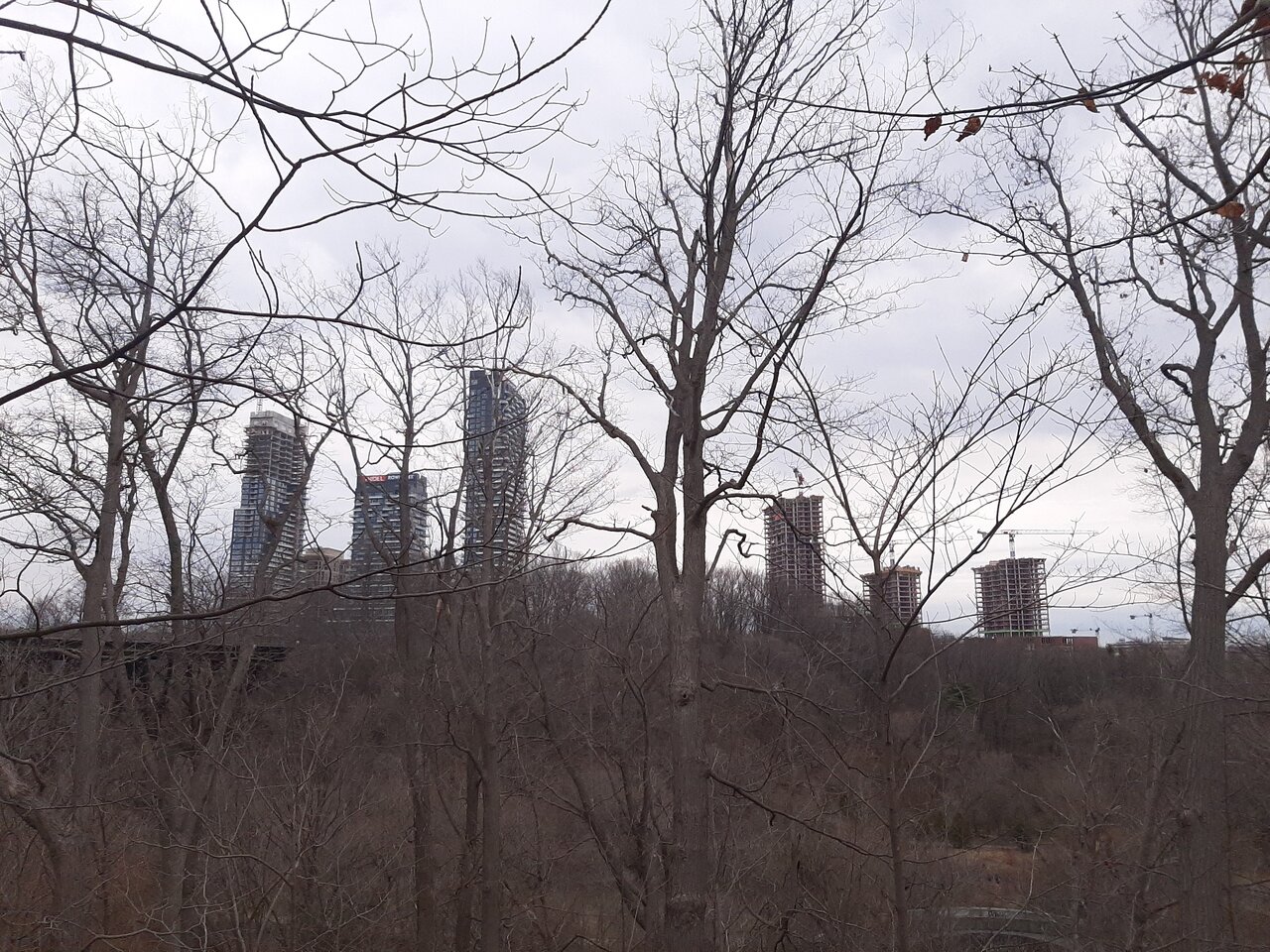 20240314_131617.jpg