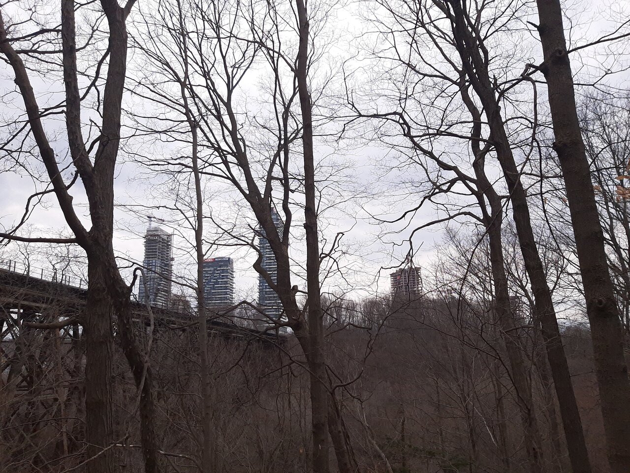 20240314_131831.jpg