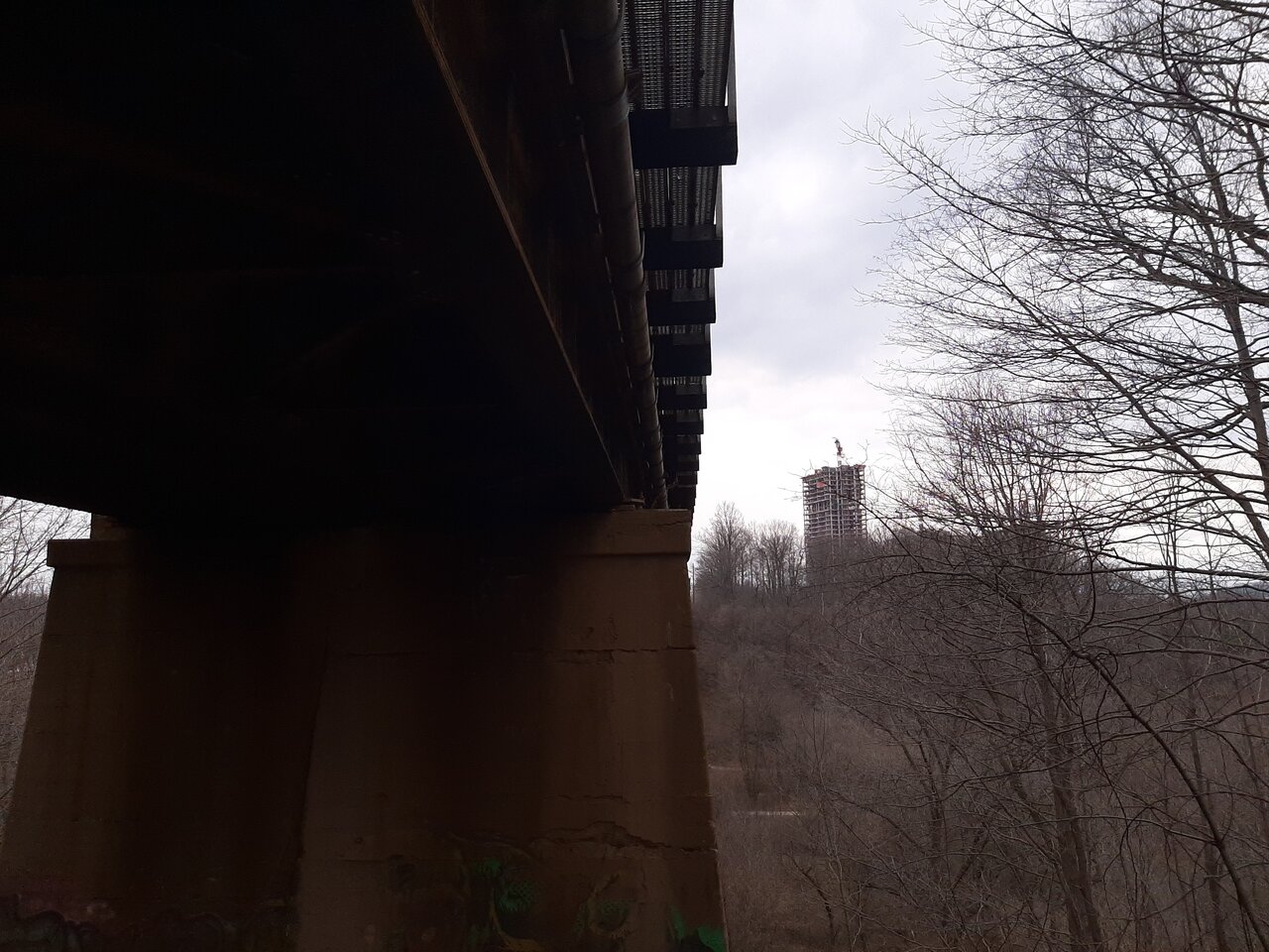 20240314_132523.jpg