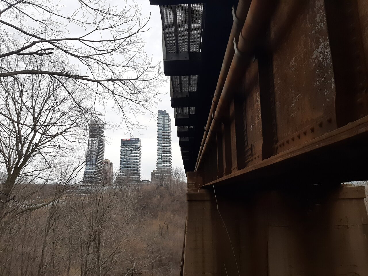 20240314_132912.jpg