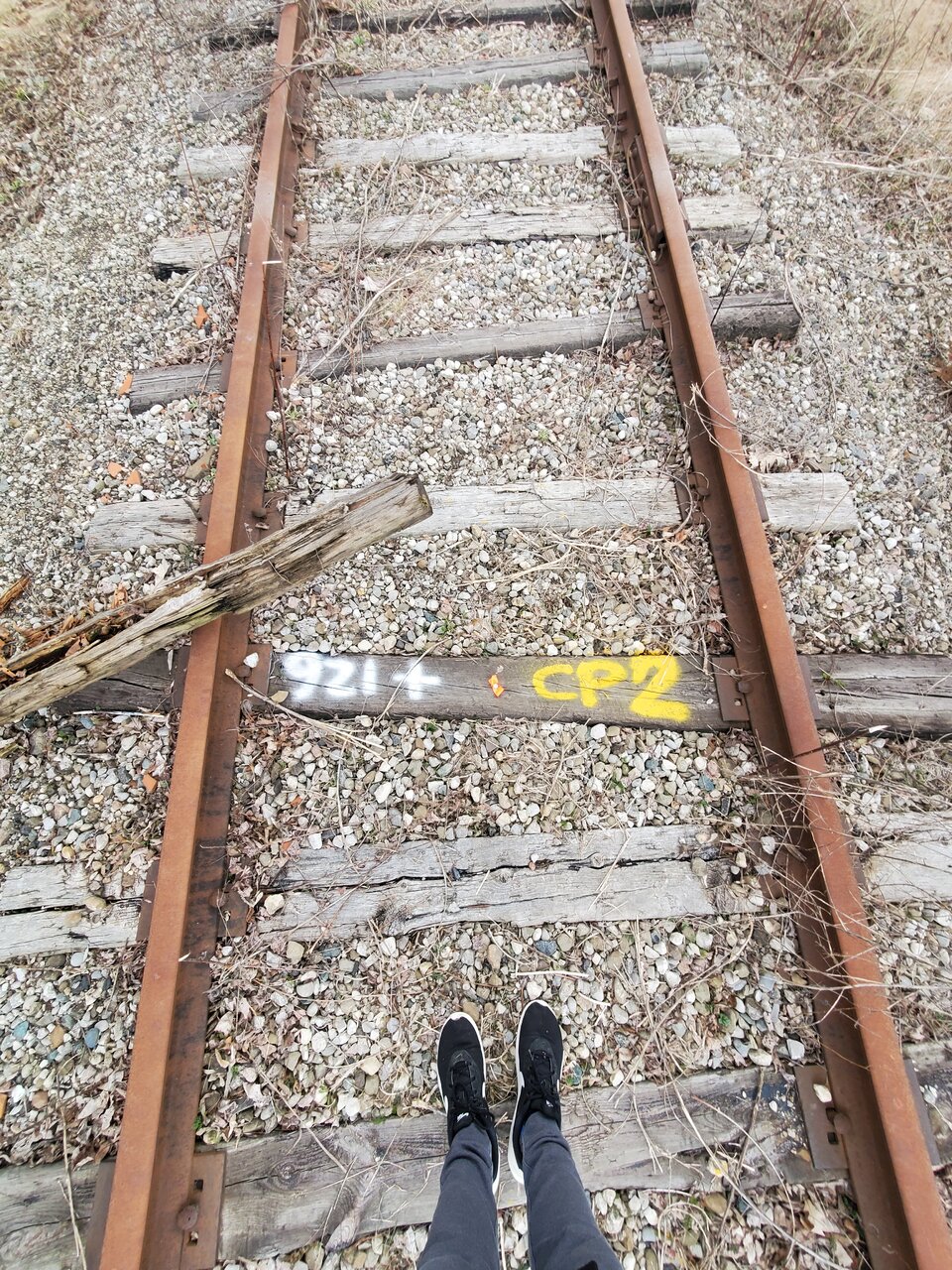 20240315_153113.jpg
