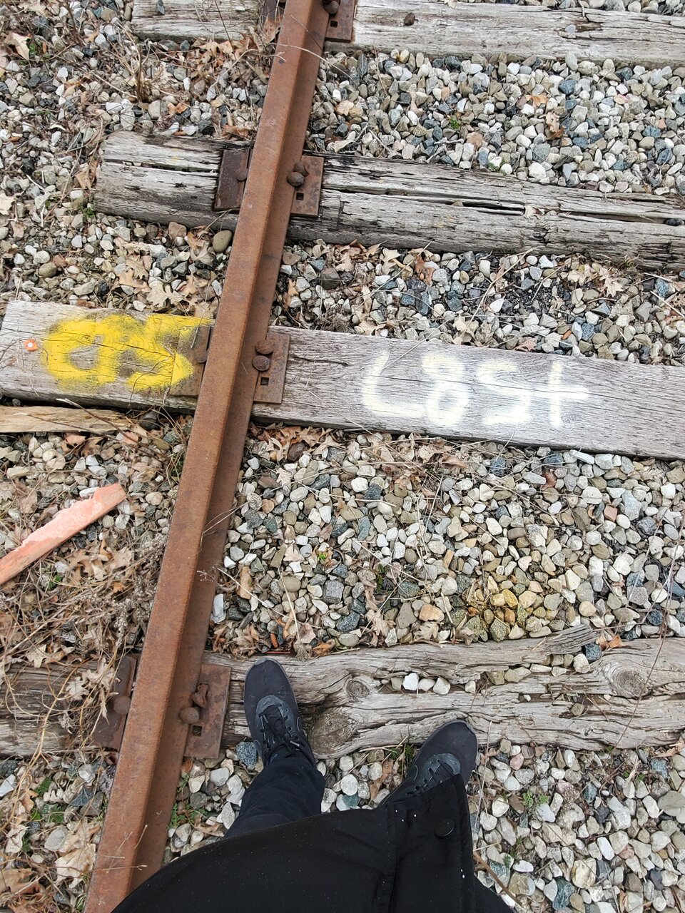 20240318_171824.jpg