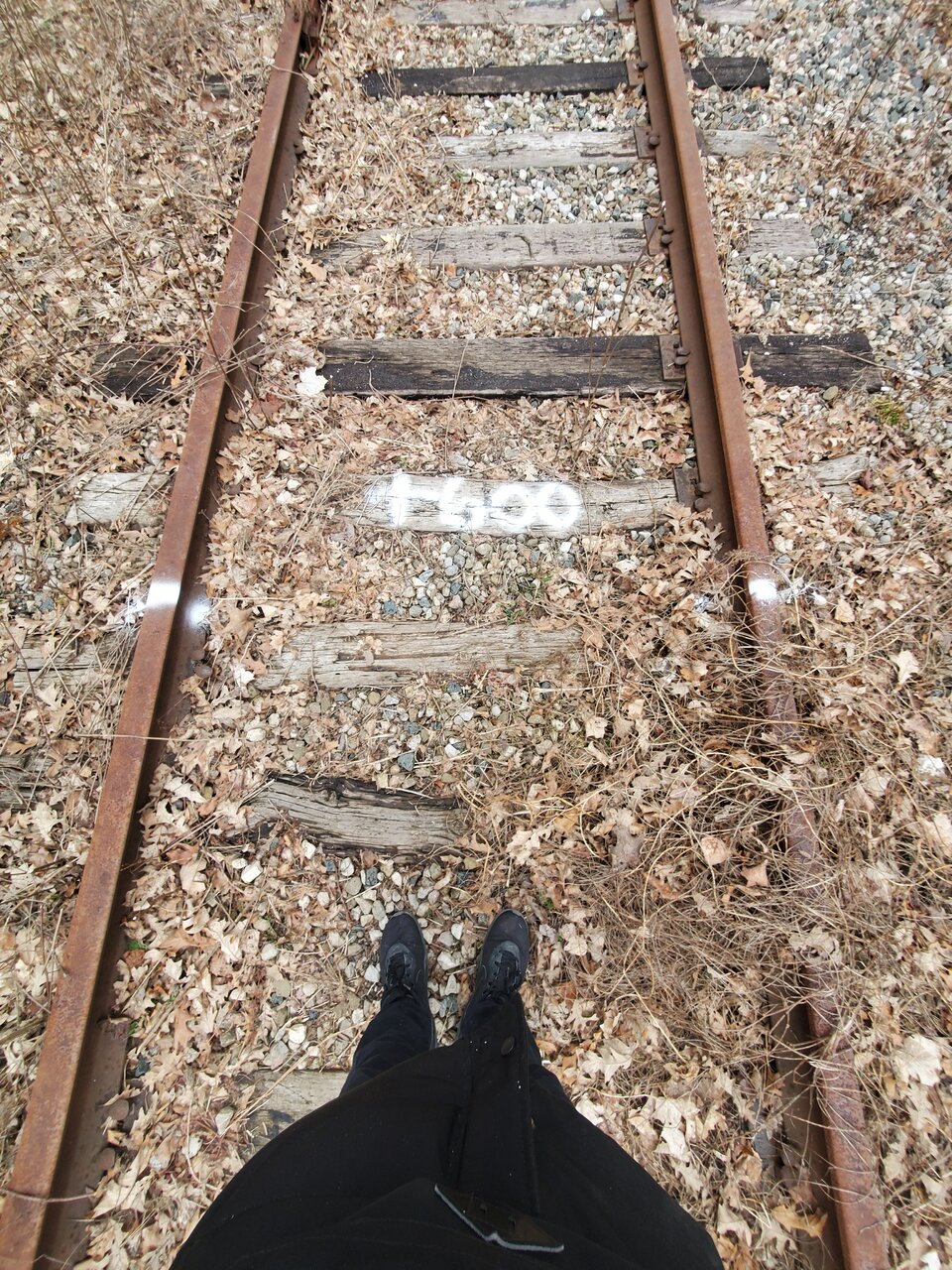20240318_171847.jpg