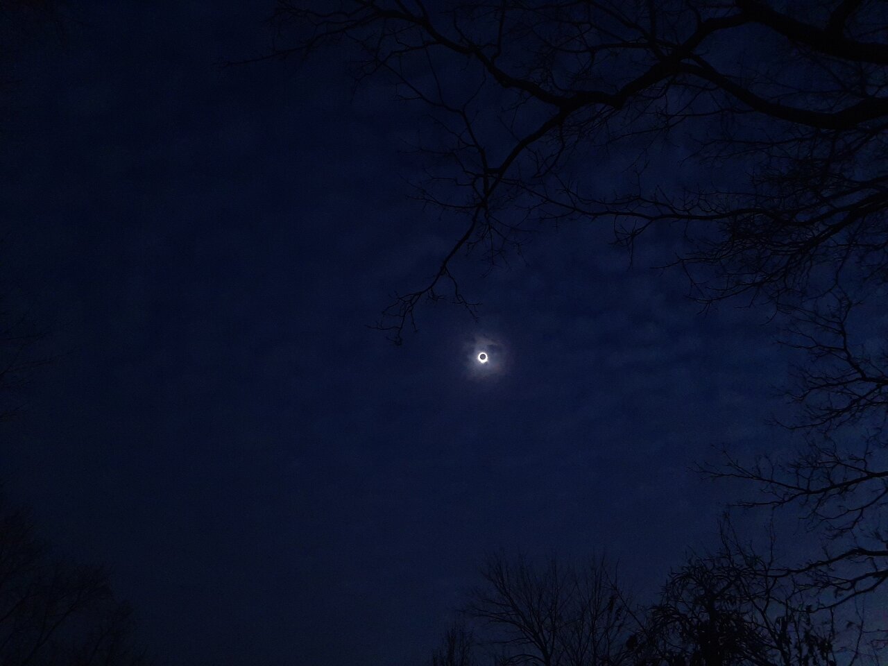 20240408_151935.jpg