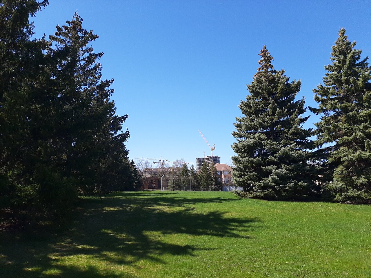 20240422_110857.jpg