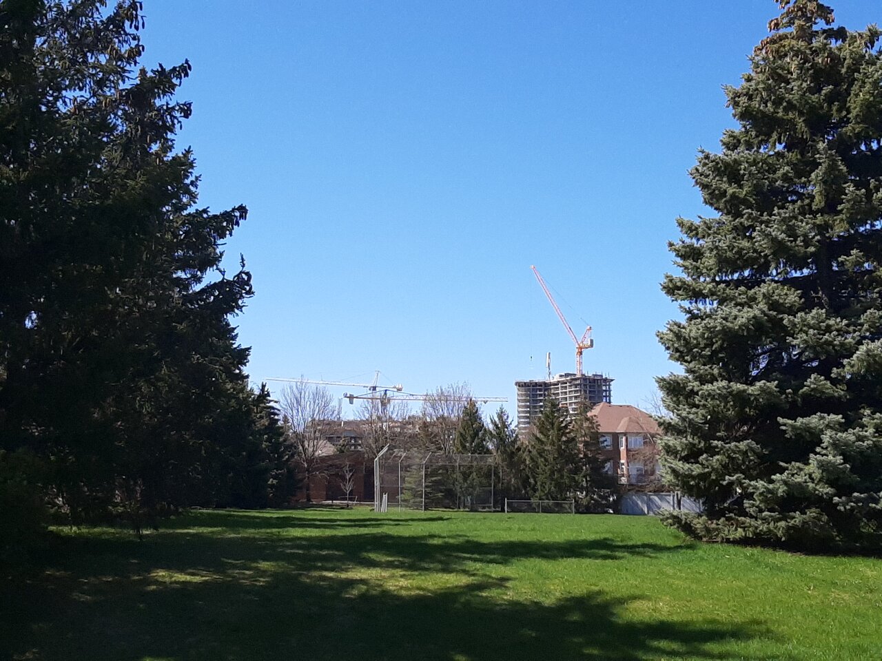 20240422_110904.jpg
