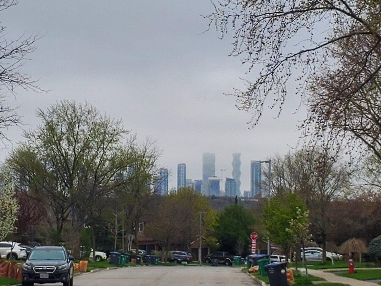 20240429_142130.jpg
