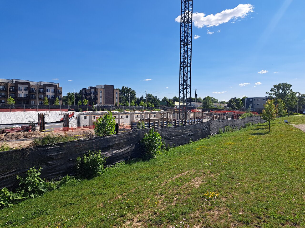 20240701_165819.jpg