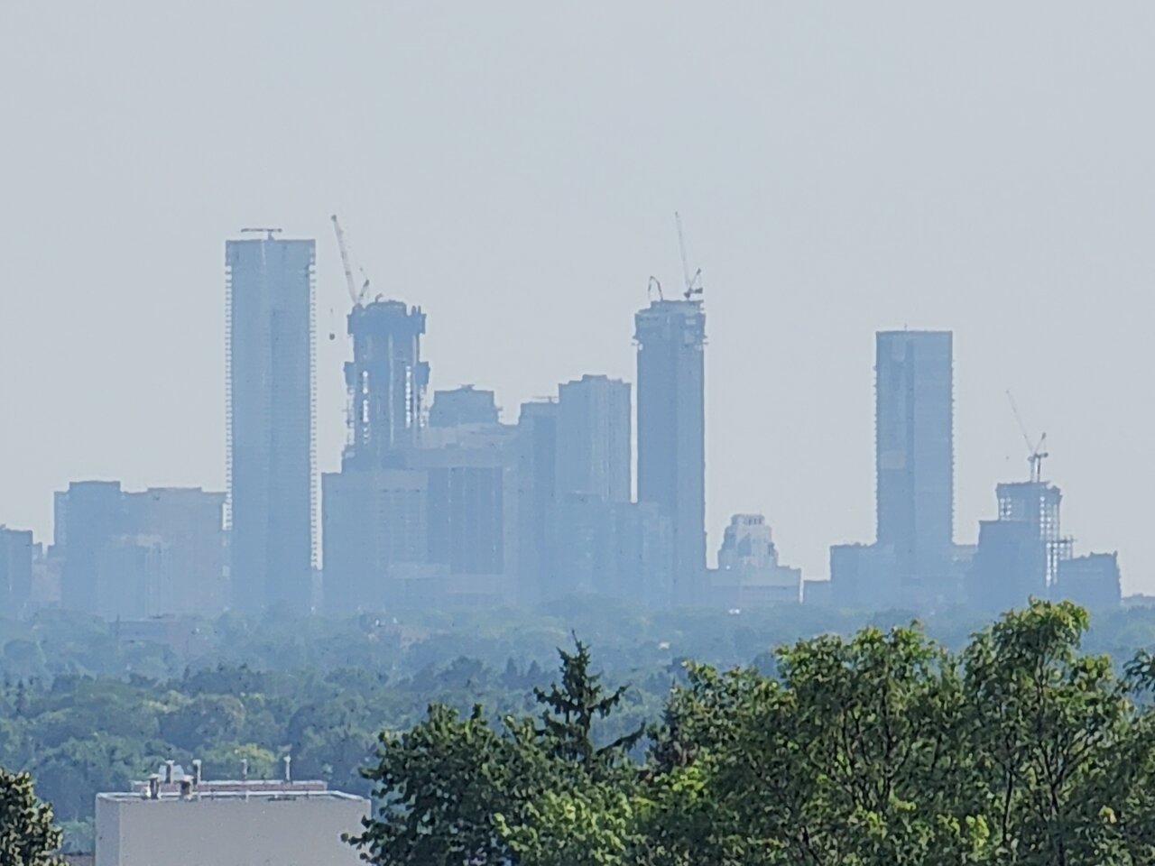 20240723_165118.jpg