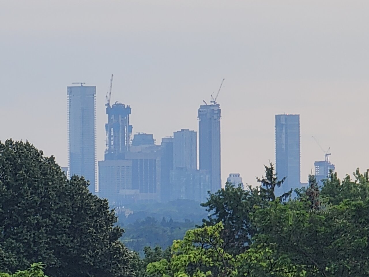 20240730_175454.jpg