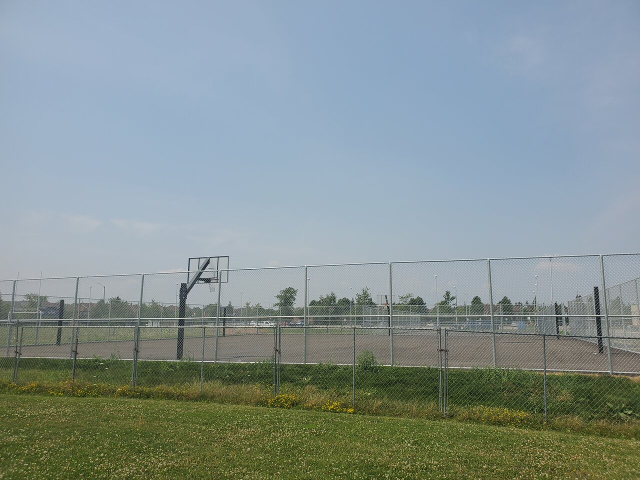 20240801_134115.jpg