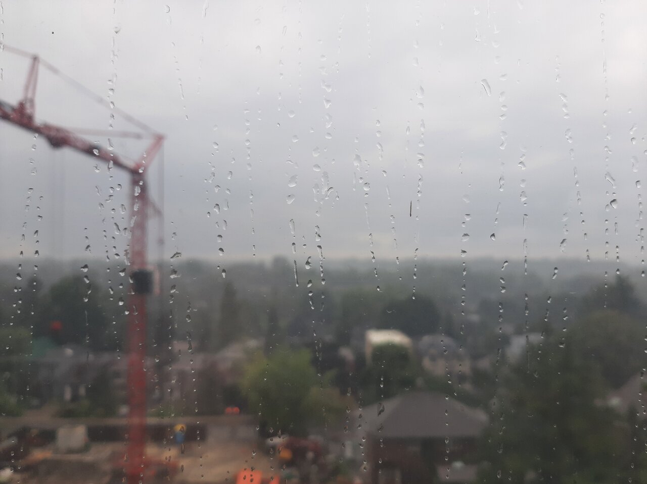 20240805_182254.jpg