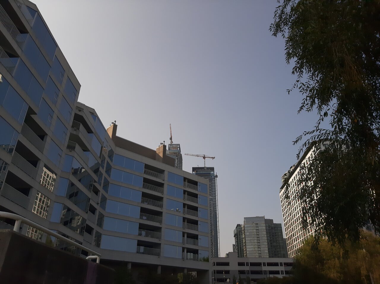 20240815_170549.jpg