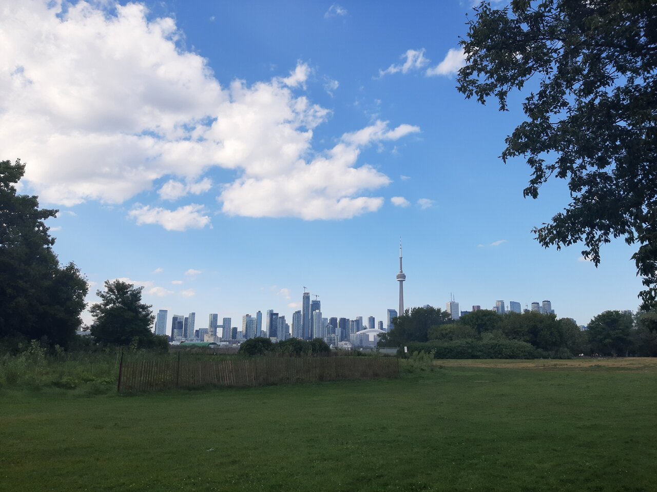 20240901_171114.jpg