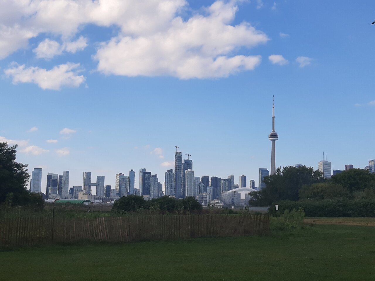 20240901_171118.jpg