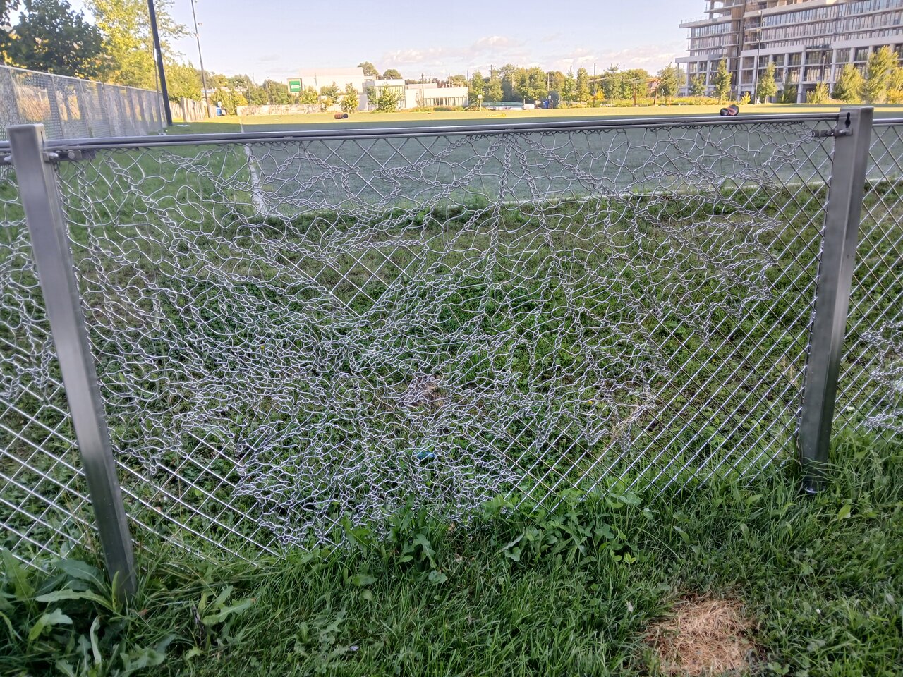 20240902_094623.jpg