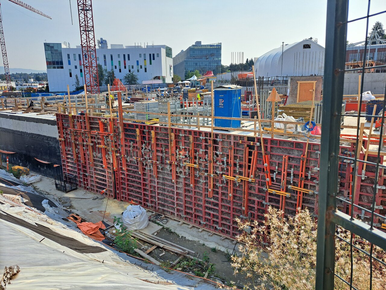 20240907_105531.jpg