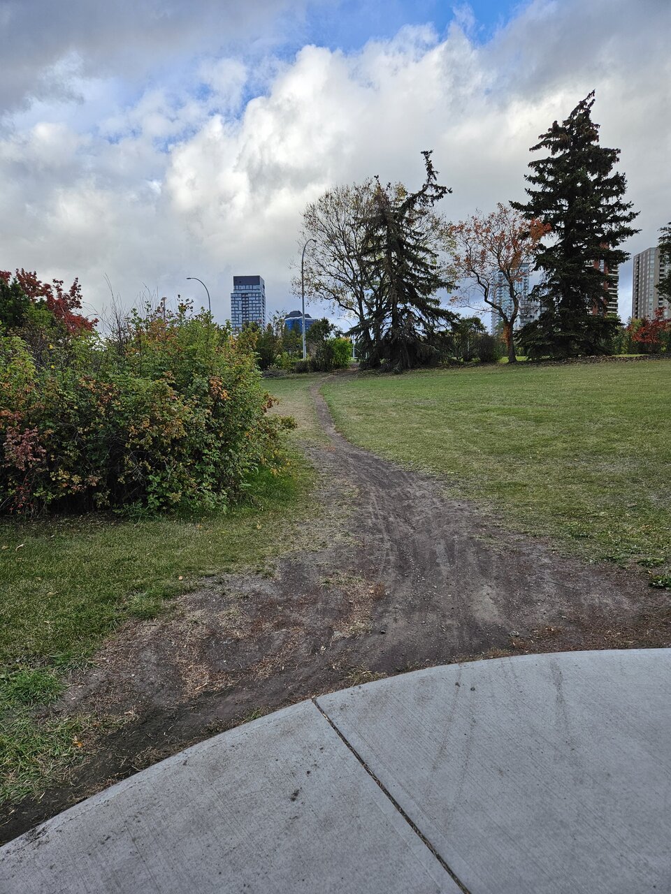 20241002_171238.jpg