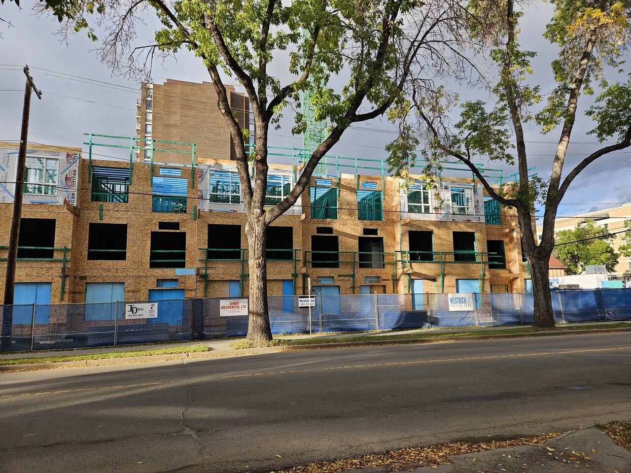 20241002_173514.jpg